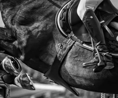 Horse jumping competition — Stock Photo © MarcoGovel #52968157