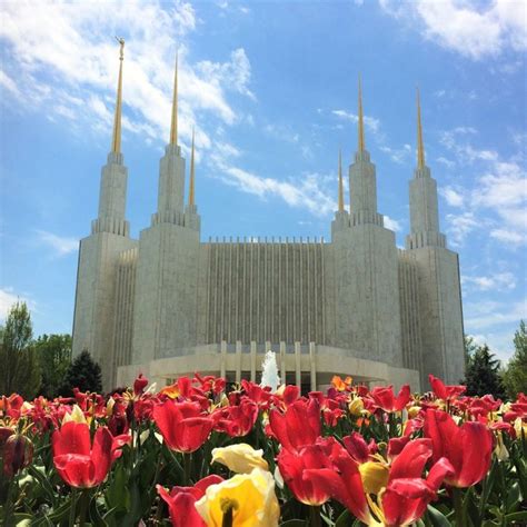 Mormon Temple, Washington, DC | Washington dc temple, Mormon temple ...