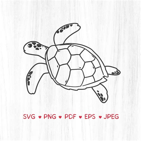 Turtle Vector Cut Files For Cricut SVG PNG PDF Eps Jpeg Sea