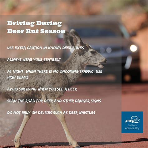 Deer Rut Season During North Bay Wildfires- Drivers Beware!