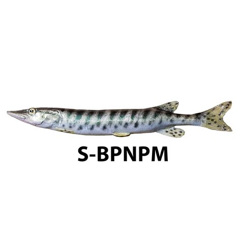 Muskie Habitat Fish Replica | Research Mannikins Taxidermy Supply