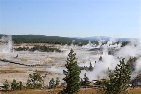 Geysers at Yellowstone National Park : r/pics