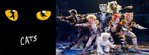 A Midsummer Night's Dream: CATS - The Broadway Musical