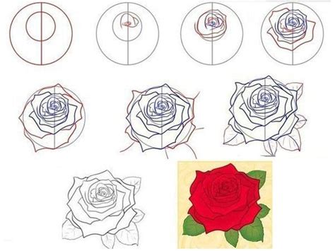 Học vẽ: 8 cách vẽ hoa hồng "dễ như ăn kẹo" | Roses drawing, Rose ...