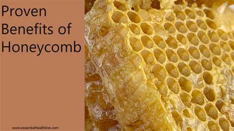 Why Should You Eat It Raw? 7 Health Benefits of Honeycomb