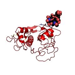 Bromelain Enzyme Structure