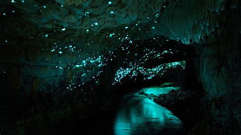 Waitomo Glowworm Caves 1080P, 2K, 4K, 5K HD wallpapers free download ...