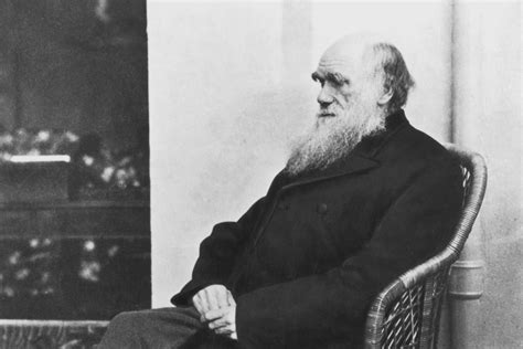 One of Darwin's Evolutionary Theories Has Been Proved By Scientists ...