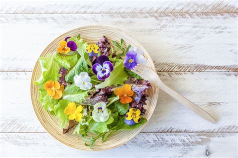 Best Edible Flowers: 23 Types To Try Gardeningetc, 58% OFF