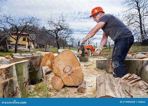 Lumberjack with Chainsaw Working Stock Photo - Image of industrial ...