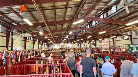 Livestock Area at Ventura County Fair