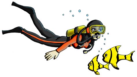 Premium vector people scuba diving and freediving gear – Artofit