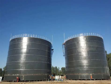 Biogas energy - Biogas Anaerobic Digester Plant for Pig Manure ...