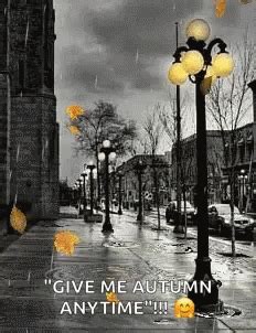 Autumn Rain GIF - Autumn Rain Leaves - Discover & Share GIFs