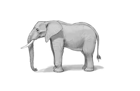 Easy Elephant Scenery Drawing / Learn how to draw a elephant easy and ...