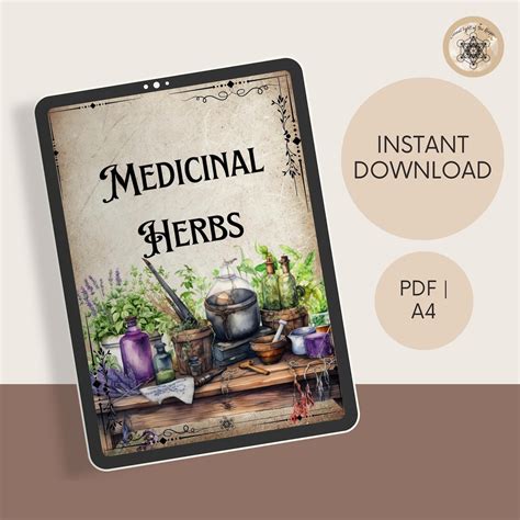 Printable Herbal Medicine Guide: A4 PDF on Medicinal Herbs, Herbal ...