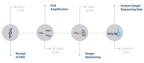 DNA Sanger Sequencing (LG-GA-Seq) - Lab Genetix