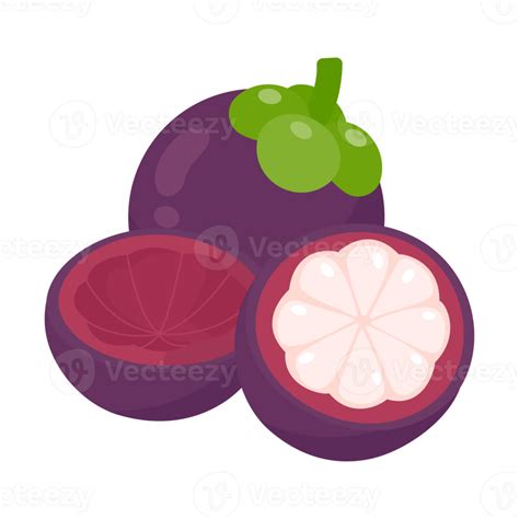 purple mangosteen sweet tropical fruit 14630079 PNG