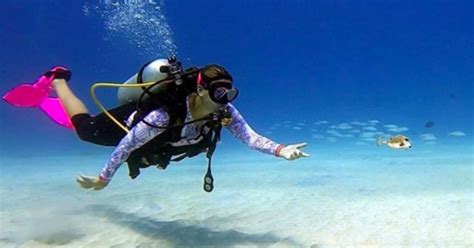 San Andres: SCUBA Diving Experience with Hotel Pickup | GetYourGuide