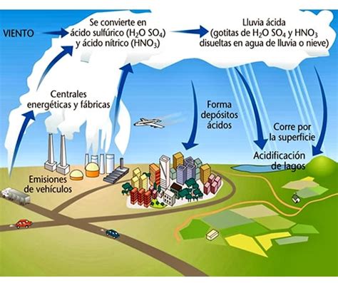 Ciclo del azufre » Blog de Biología