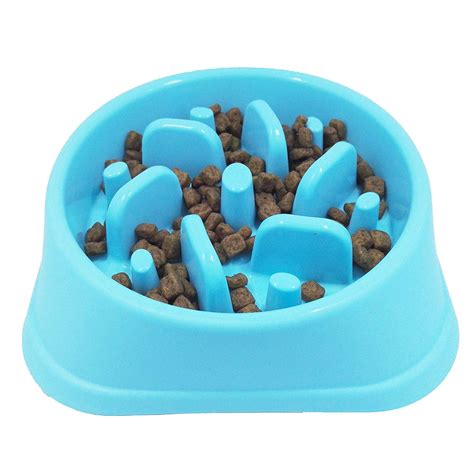 Unleash the Fun with the Top 10 Maze Dog Food Bowls! - Furry Folly