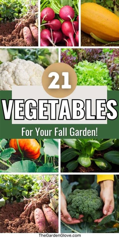 21 Fall Garden Vegetables to Plant for a Fall Harvest • The Garden Glove