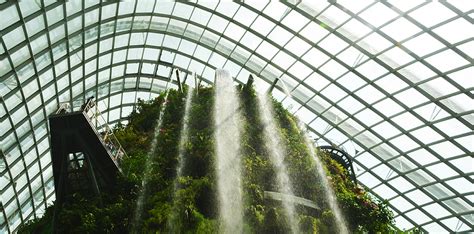 CLOUD FOREST SINGAPORE | Travel Inspiration | ANYDOKO