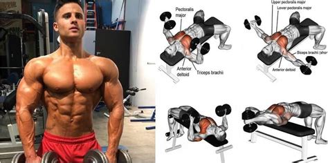 Dumbbell Workouts For Chest - iGo Workout