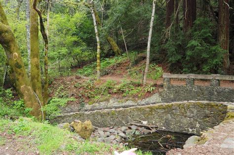 Picnic at Reinhardt Redwood Regional Park - Lonely Hiker