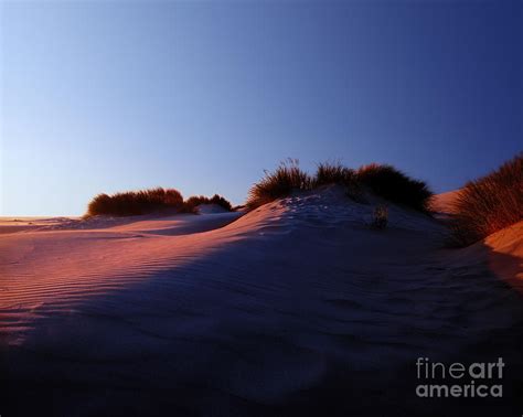 Oregon - Florence Sand Dunes Sunset Photograph by Terry Elniski | Fine ...