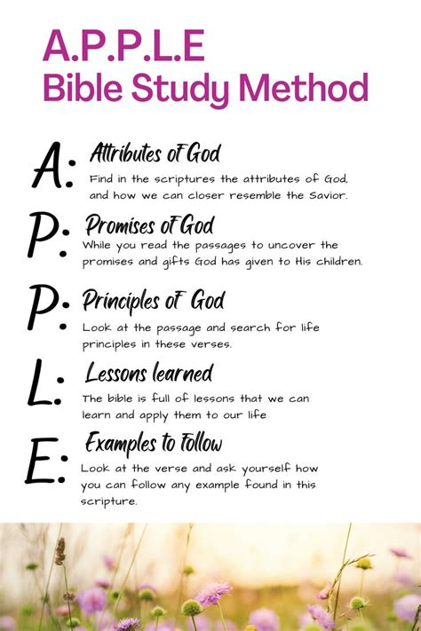 S.O.A.P Bible Study Method, Bible Study, Study the Bible | Bible study ...