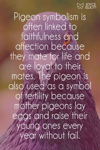 Pigeon Symbolism & Meaning: Spiritual, Totem, Dreams... - Joyce Elliott