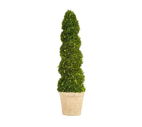 Live Preserved Boxwood Spiral Topiary Tree - 71" Inch | Outdoor Plants ...