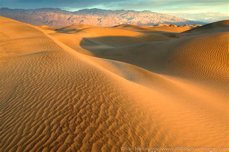 Mojave Desert Photos | Photos by Ron Niebrugge