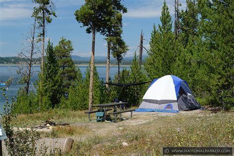 Facts About Grand Teton National Park | Survival Life