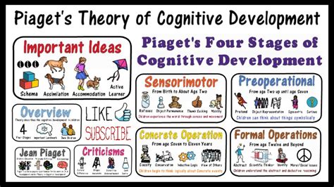 What Does Cognitive Mean In Child Development | bet.yonsei.ac.kr