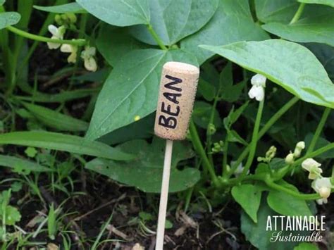 15+ Cheap and Easy DIY Garden Markers for Your Garden