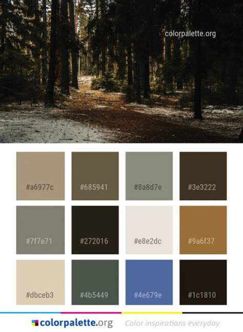 Bistre Color Palette ideas | colorpalette.org