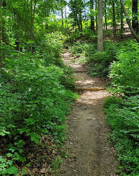 Hiking Trails - Elachee Nature Science Center