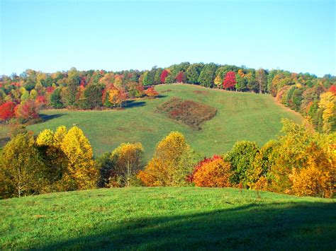 Autumn Field Show, Blue Ridge, GA Blue Ridge Cabin Rentals, Vacation ...