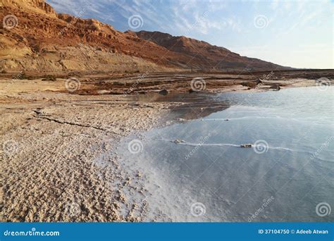 Dead Sea lake stock photo. Image of area, salinity, salty - 37104750