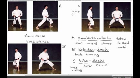 Karate Stances Chart