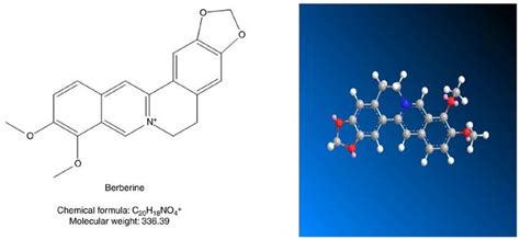 Structure of berberine. Chemical structure of berberine (left); and ...