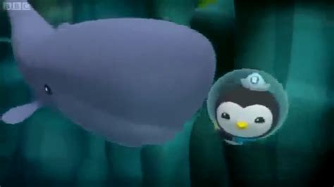 The Scared Sperm Whale | Octonauts Wiki | FANDOM powered by Wikia