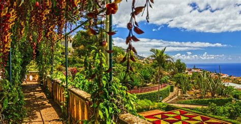 BOTANICAL GARDEN. Places you must visit on Madeira Island