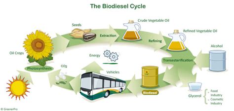 Biofuels Advantages and Disadvantages in 2023 | Linquip