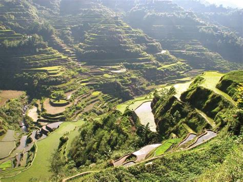 Banaue rice terraces | Philippines, History, Map, & Facts | Britannica