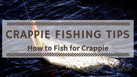 Crappie Fishing Tips for Beginners - How to Fish for Crappie