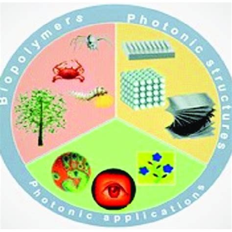 (PDF) Biopolymers-Applications in Various Fields: A Mini Review