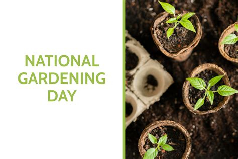 It’s National Gardening Day! - Paul Jacobs